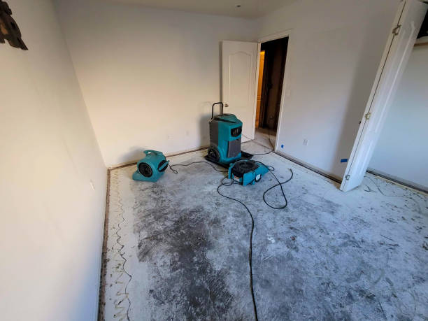 Best Flood damage cleanup  in Schuylerville, NY